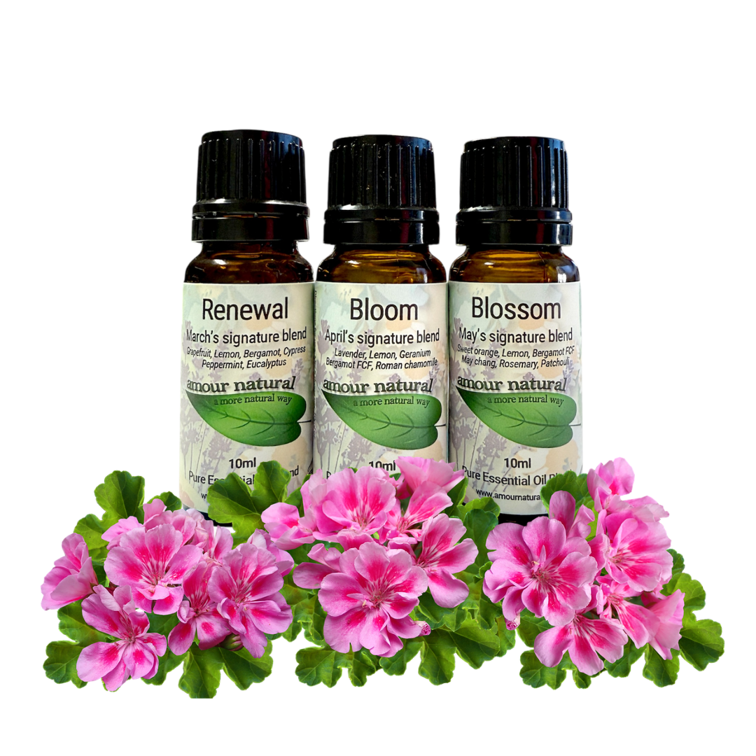 Seasons of Aromatherapy